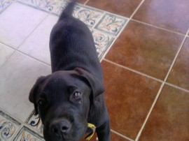 Cash